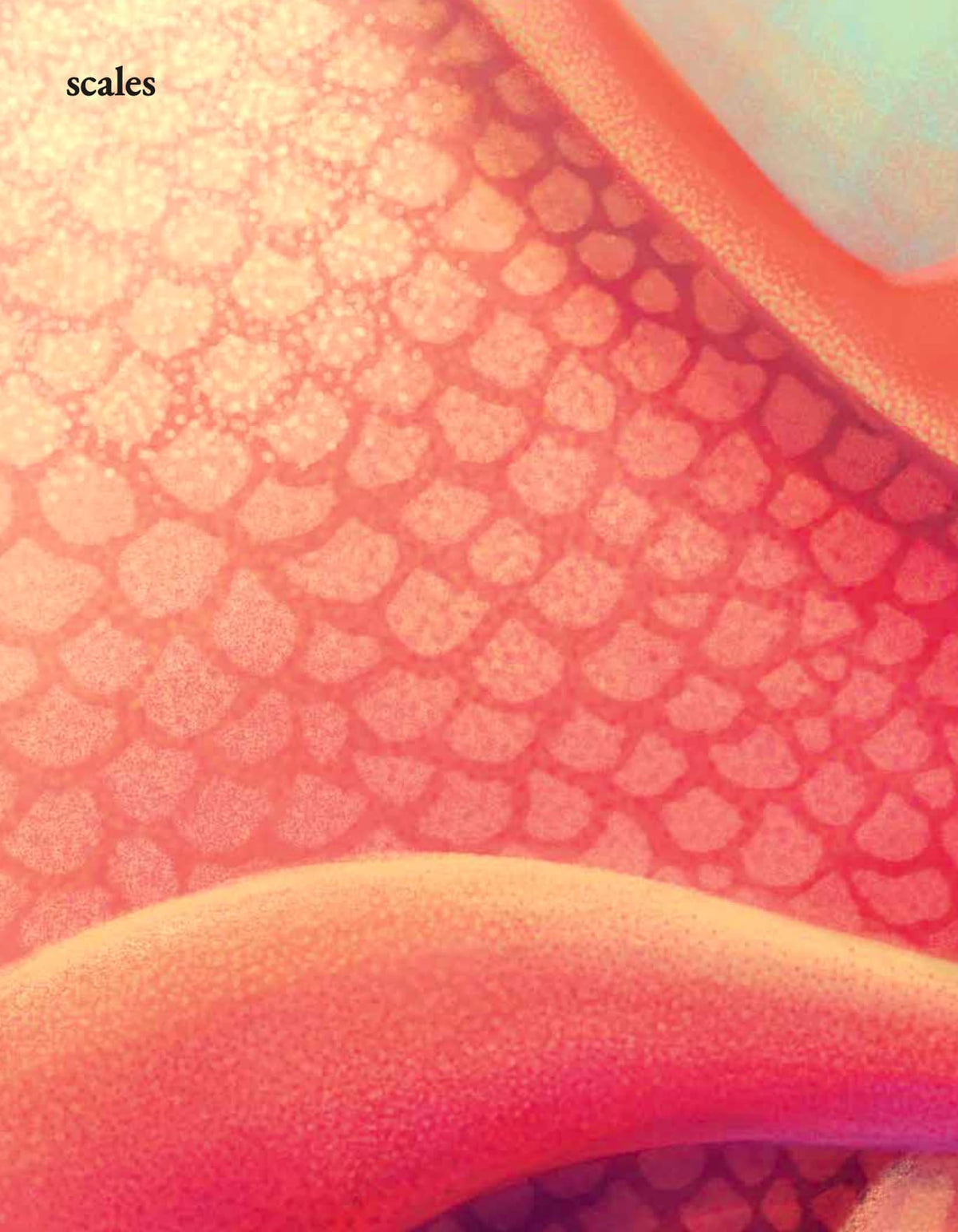 Close-up of textured surface with 'scales' text