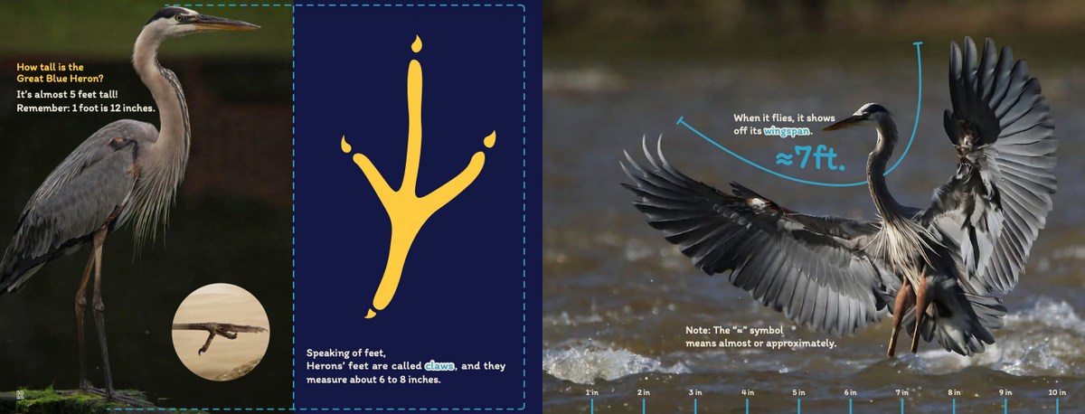 Close Encounters with the Great Blue Heron PRESALE Releases November 17!